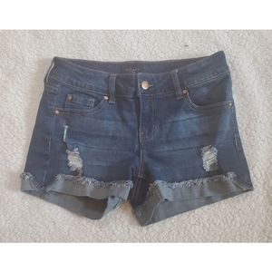Celebrity Pink Denim Shorts